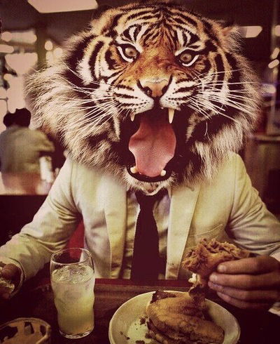 Рэнат Тимиров