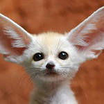 Арсений Третяк