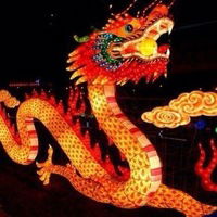 Алёна Новых