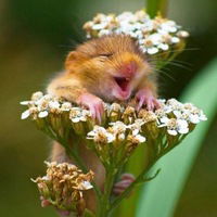 Наталия Байдюк