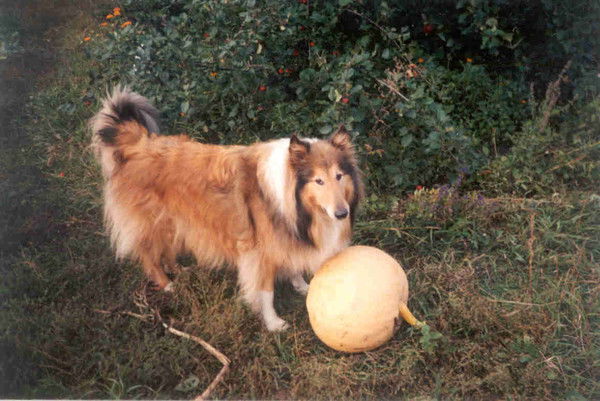 Людмила Кулиш