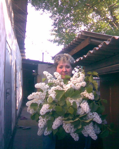 Елена Борисова