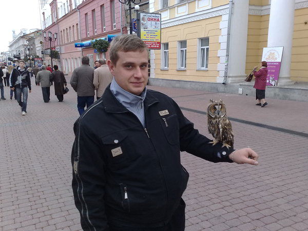 Владимир Дорохов