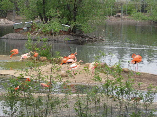 Александра 82