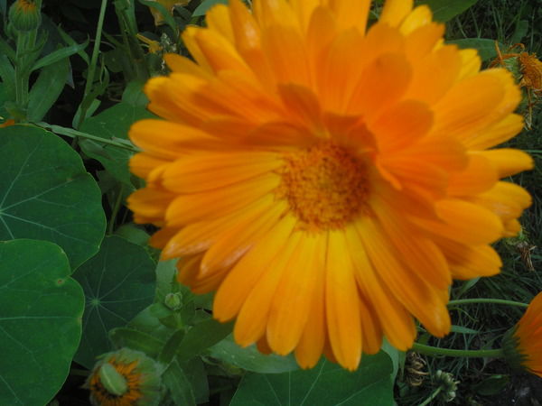 Виктория Рубцова