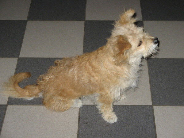 Светлана Филиппова