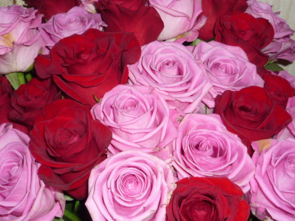 Наталия Капич