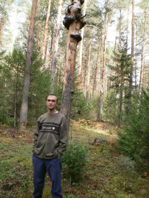 Александр Петров