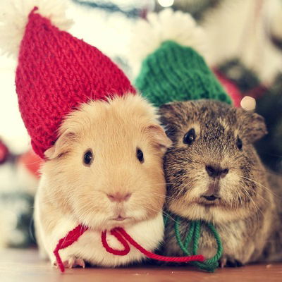 Данила Лебедев