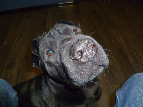 Виктория Гордеева