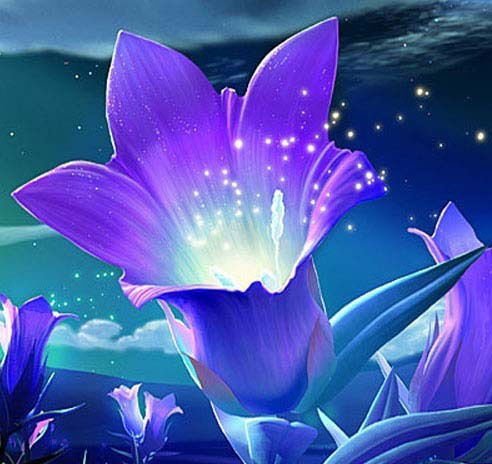 Анастасия Калинина