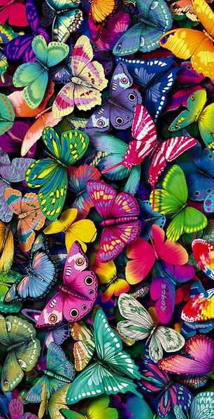 Жанар Султанбекова