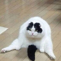 Азамат Тхакахов