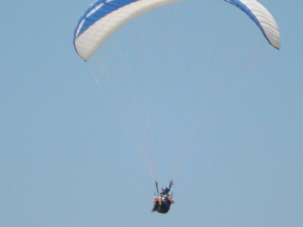 Дима Бабушкин