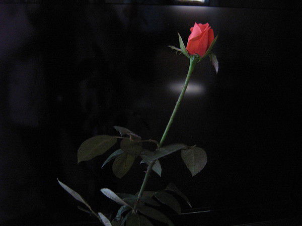 Ирина Пузикова