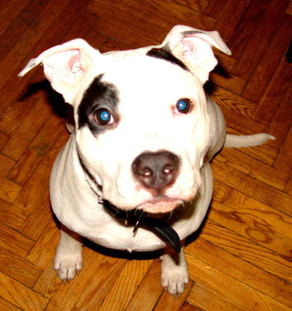 Евгения Шпакова