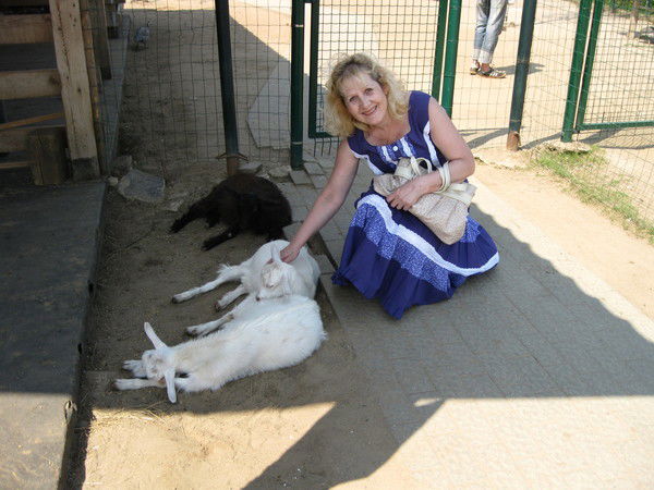 Тамара Шуляковская