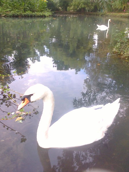 Ольга Климушкина