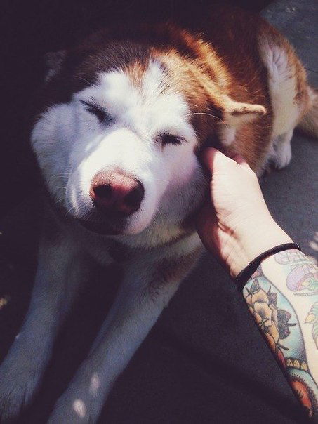 Руся Камалетдинов