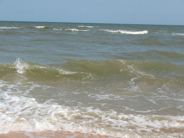 Николай Шинкаренко