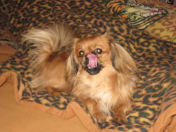 Виктория Щукина