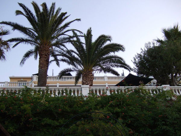 Лена Бурмистрова