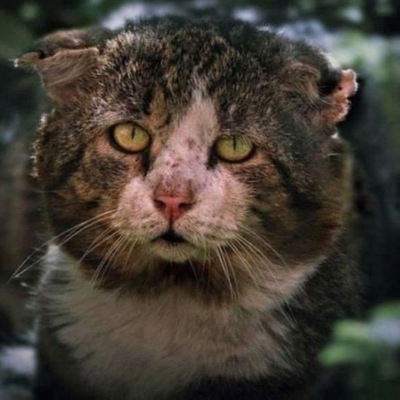 Семен Горбунков