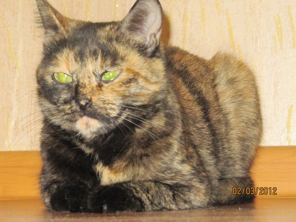 Наталья Наталья