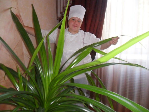 Света Степанова