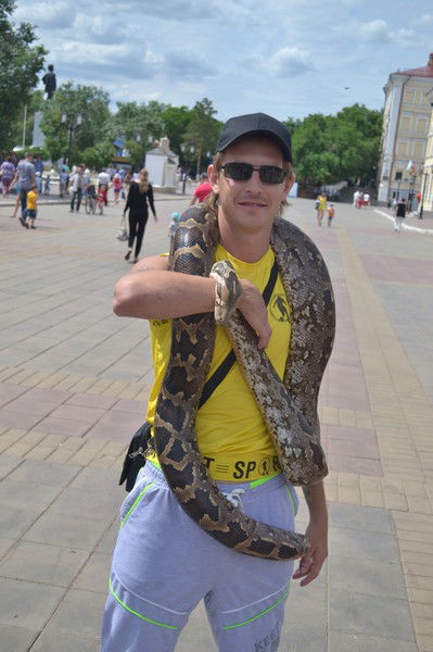 Кирилл Бережок