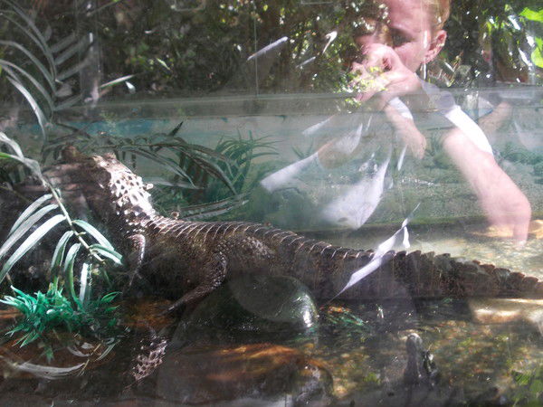 Наталья Грацинская