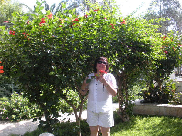 Татьяна Гафтон (Куркова)