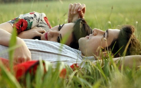 Котенок Бендеры