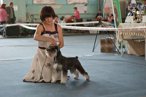 Виктория Таловыря