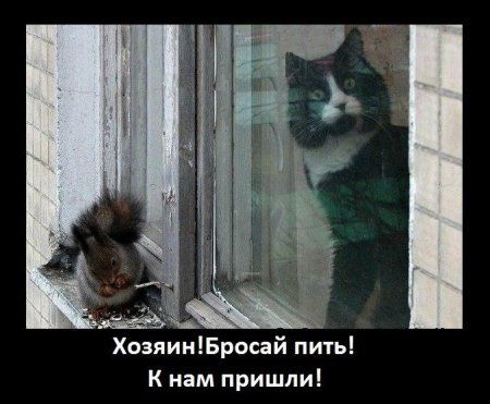 Макс Маккофе