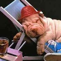 Натаніель Бампо