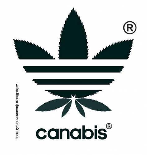 Серега Андреевичь