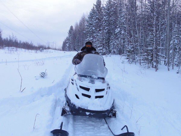 Максим Андреев