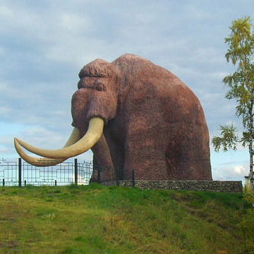 Оксана Кожанова