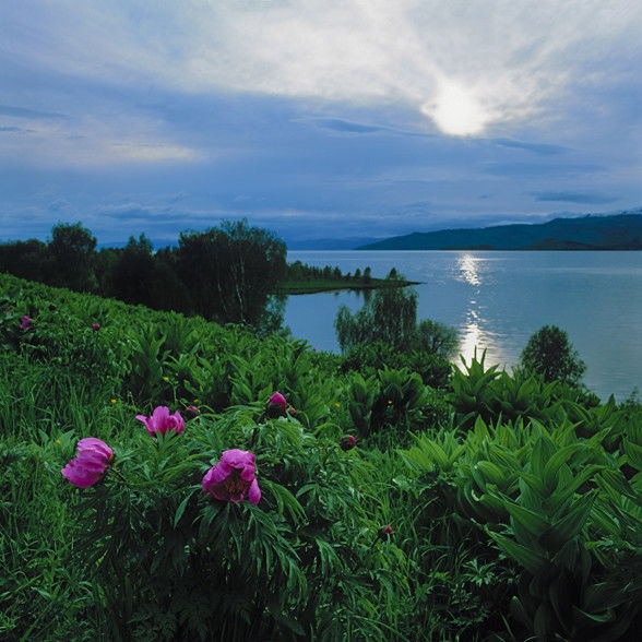 Нуржан Канатов