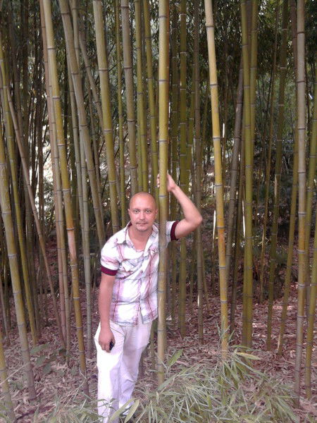 Илья Морозов