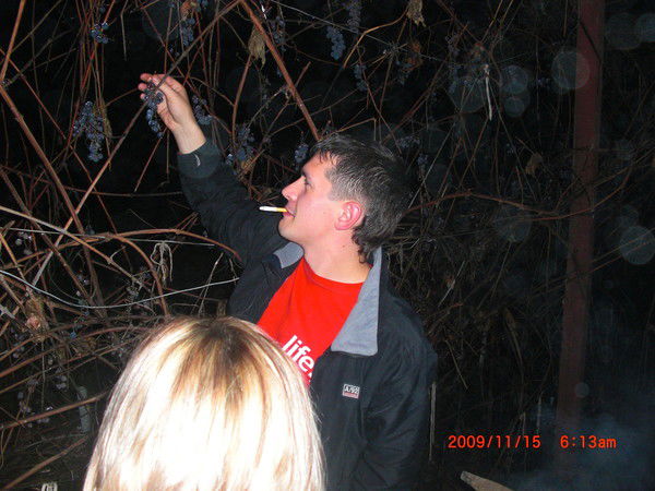 Алексей Полякевич