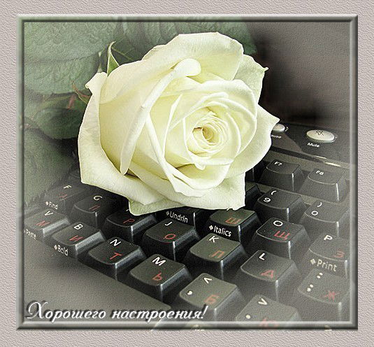 Наталья Чурсина