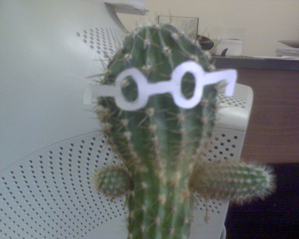 Воронов Геннадий