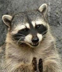 Тимур Хакназаров