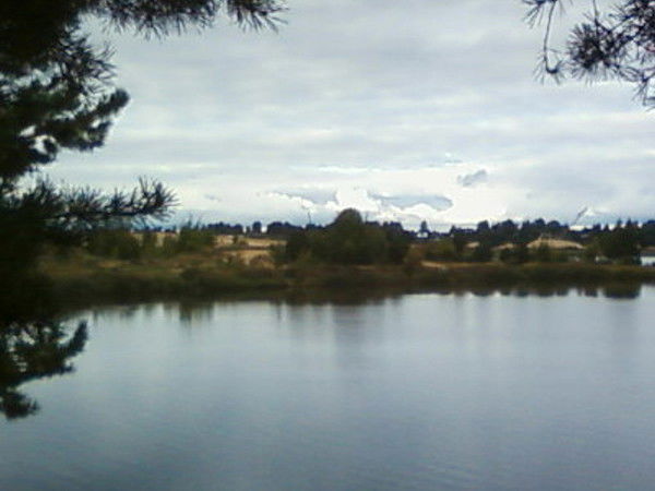 Андрей Могилев