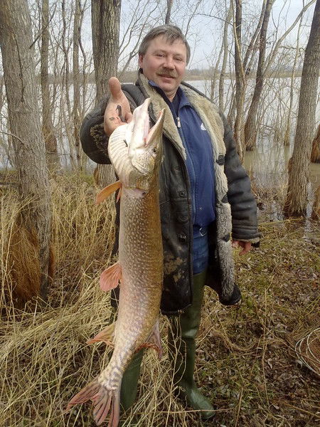 Александр Шкрябов