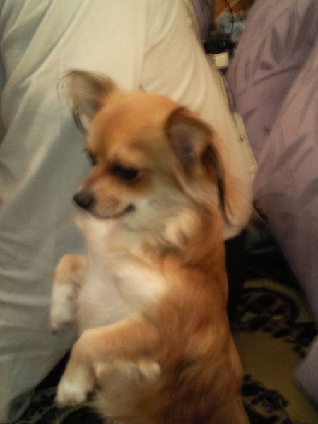 Людмила Романова