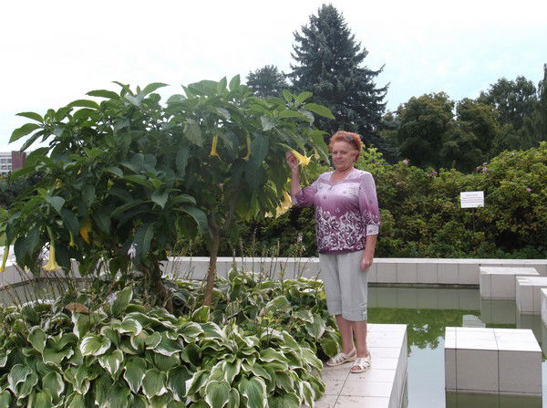 Нина Никитина