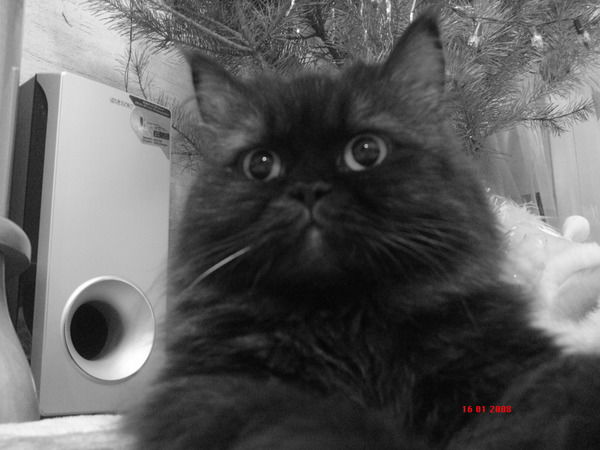 Ирина Абзалова